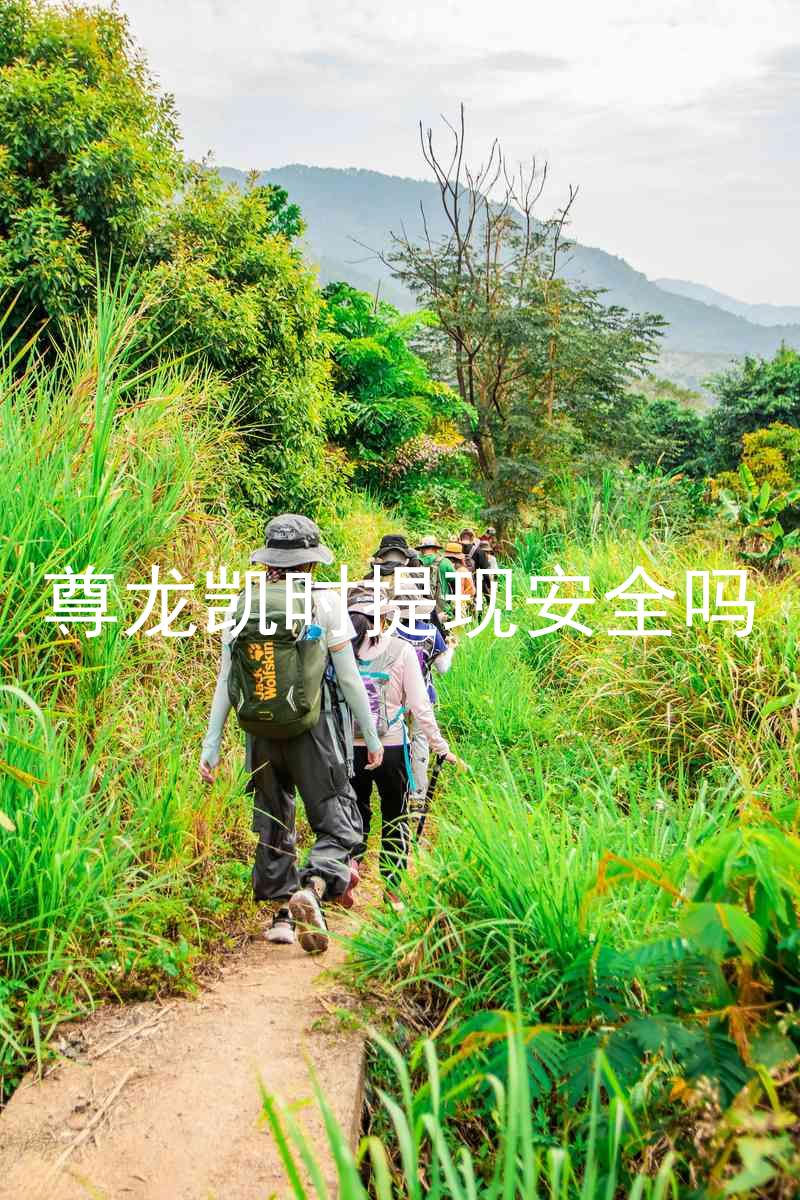 尊龙凯时提现安全吗